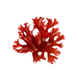 Astaxanthin