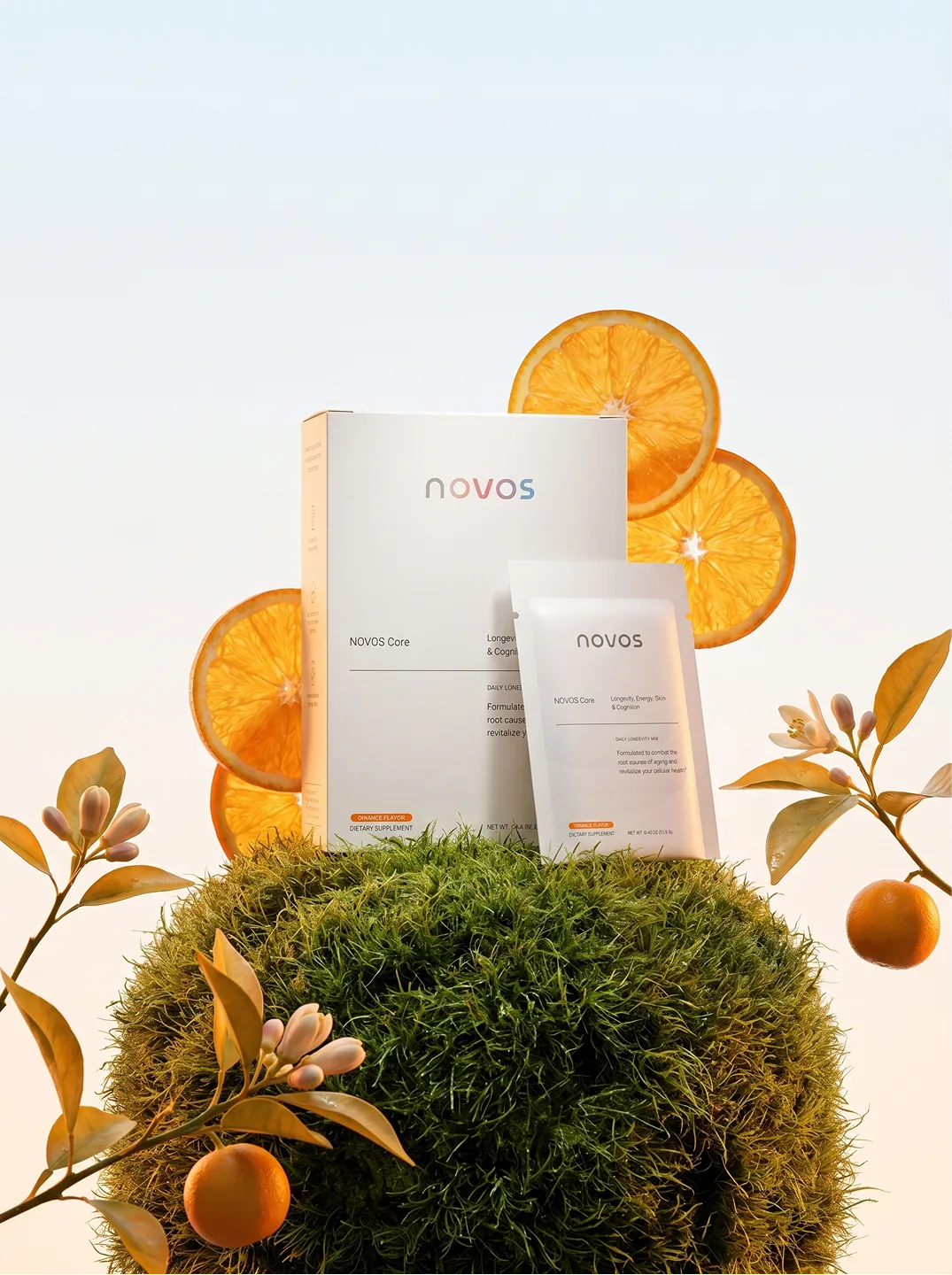 NOVOS Core pouch beside a moss-covered stone