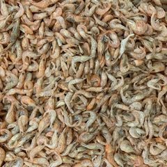 Krill Oil
