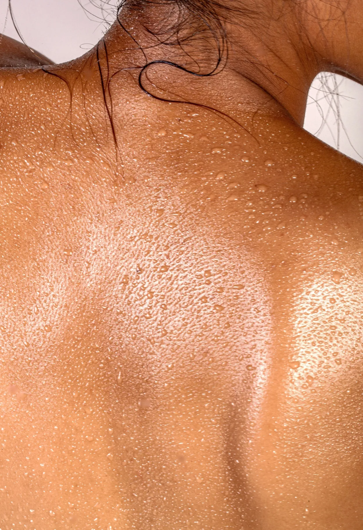 Skin Structure & Extracellular Matrix