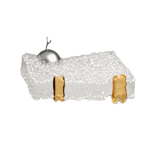 Deregulated Nutrient Sensing